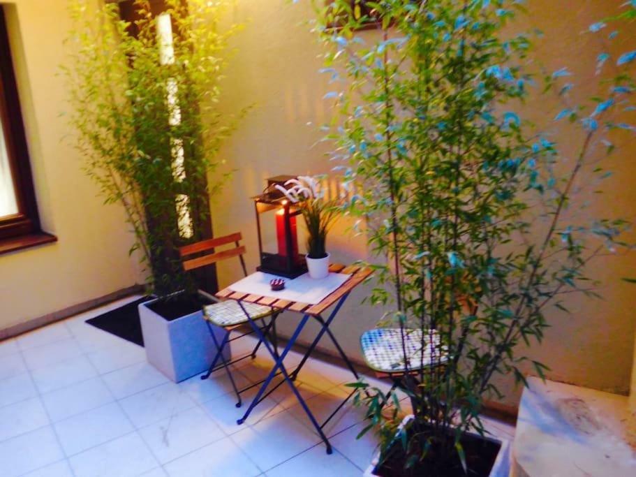דירות Cosy&Private,30Sec Walk To Mainsquare, Heart Of זאגרב מראה חיצוני תמונה